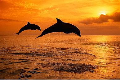 《银河战士：生存恐惧》现已成为系列历史最畅销游戏