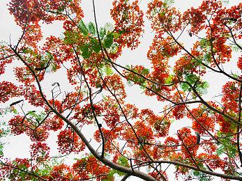 《双影奇境》加入 Nintendo Switch 2 上市首发行列！